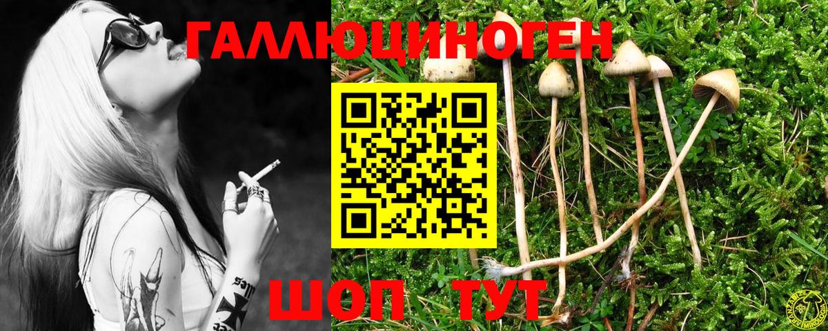 Галлюциногенные грибы Psilocybe  Вход с VPN  Дальнереченск 