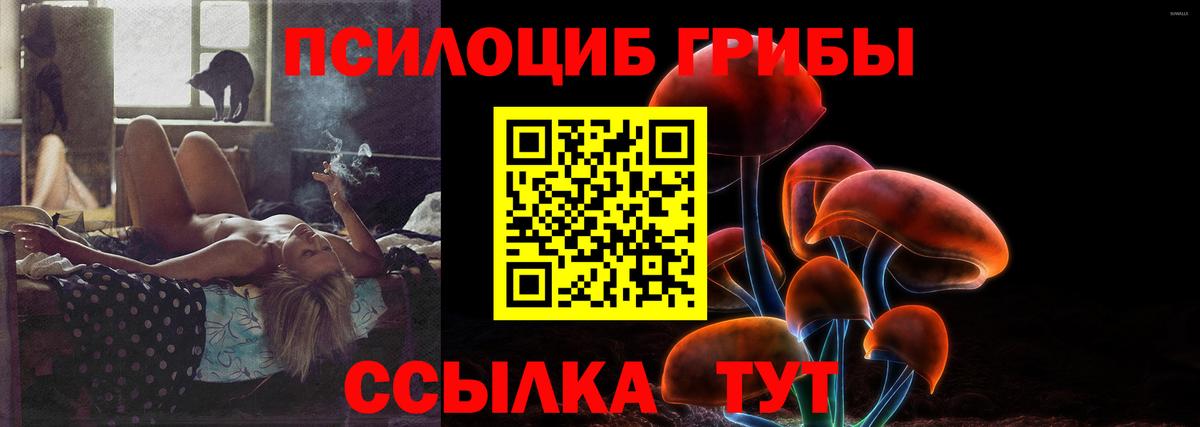 Псилоцибиновые грибы GOLDEN TEACHER Дальнереченск